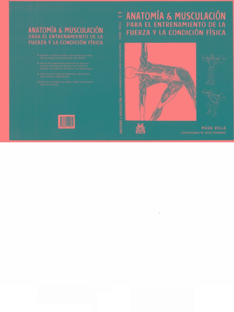 Anatomia y musculacion para el entrenamiento de la fuerza ...