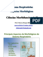 Sistema Respiratório (Aspectos Morfológicos) - Ciências Morfofuncionais II - Marcos Borges Ribeiro Apresentado Por