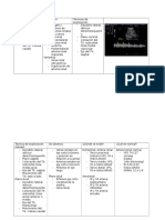 Doppler Renal