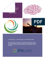 NLP Vidare - Master Practitioner 2017 PDF