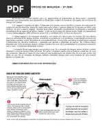 Dengue Tópicos de Biologia