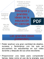 Principios y Grandes Ideas