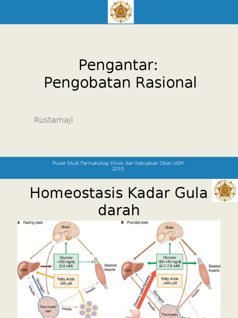 Pengobatan Diabetes Melitus Pdf