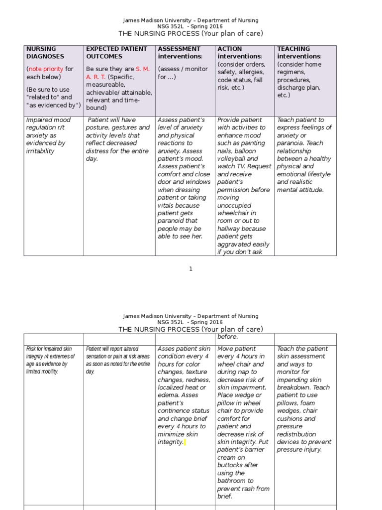 Care Plan Assignment Example