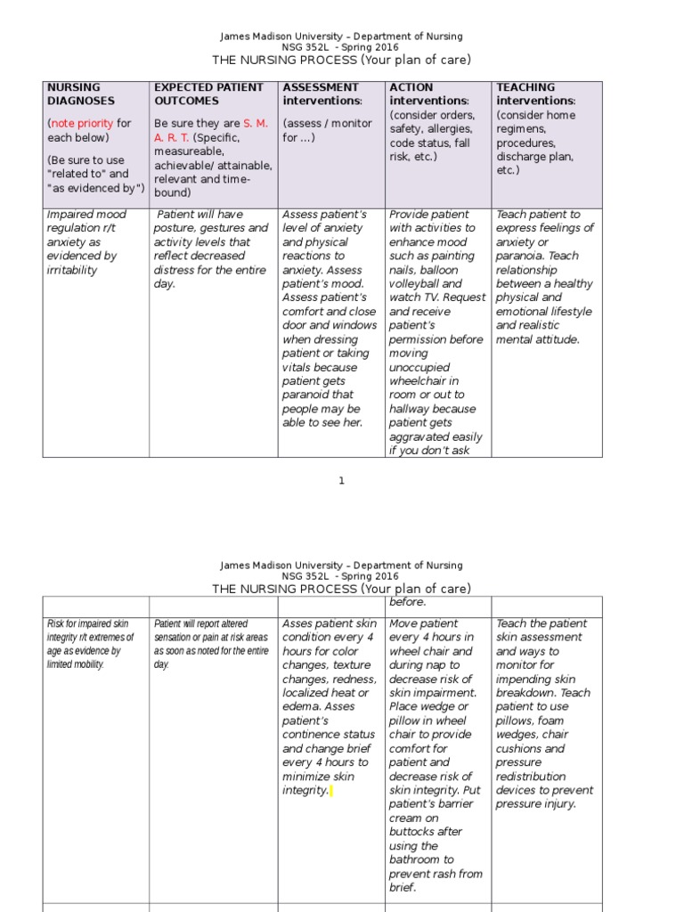 nursing care plan assignment