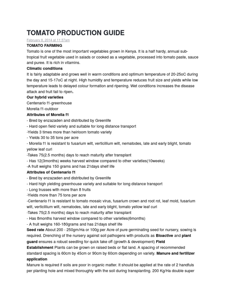 Tomato Production Guide Tomato Sowing