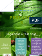 92753518-PESTICIDAS-ORGANOCLORADOS.pptx