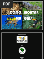 Como Montar Seu GEAS - Final