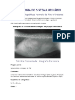 Radiologia Do Sistema Urin-Rio PDF