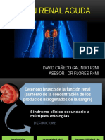 Lesion Renal Aguda Cañedo