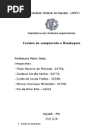 Relatório 2 Resistencia Dos Materiais