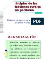 Dcto01La Organización Económica Rural