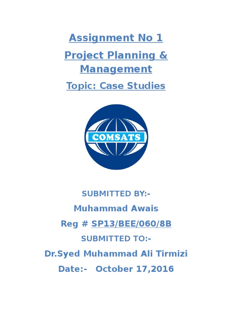 Project portfolio management in a company strategy implementation, a case study image