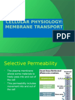 Cell Transport2