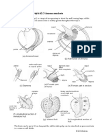 plant-fruit-tropical-3.doc