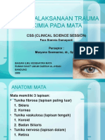 35229325 Referat Trauma Kimia Pada Mata