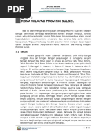 Download Gambaran Umum RTRW Provinsi Sulsel by Mirsyad Husain SN333085234 doc pdf