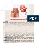 Lp Appendisitis