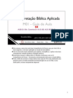 01_IBA_S8_PROF.pdf