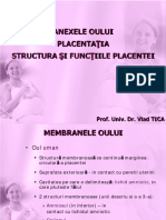 Anexele Oului Placentaţia Structura Şi Funcţiile Placentei: Prof. Univ. Dr. Vlad TICA