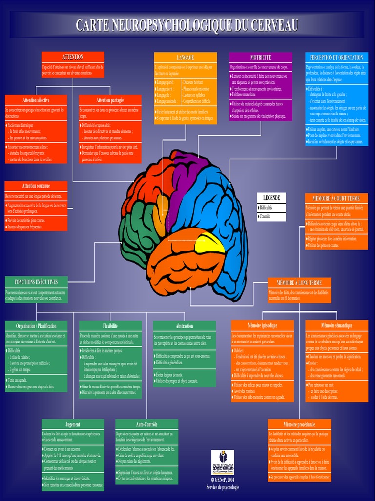 Fonctions cognitives et mémoire du cerveau | PDF | Attention | la ...