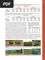 campos sulinos_parte2_14