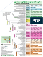 Filogenia das Angiospermas