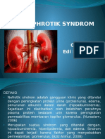 NEPHROTIK SYNDROM2