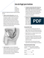 Ejercicios de kegel para hombres.pdf