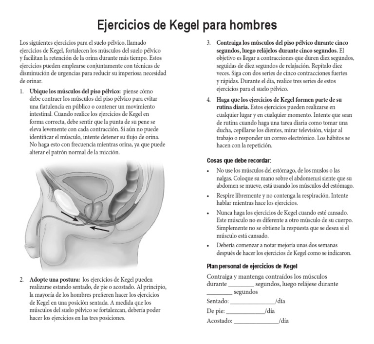 Ejercicios de Kegel para hombres: Guía práctica | PDF