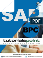 sap_bpc_tutorial.pdf