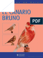 El Canario Bruno Canarios de Color