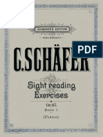 SchaferSightRExercises_1.pdf