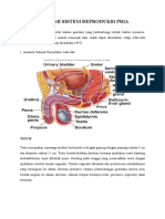 Epididimitis