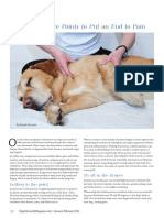 7 Acupressure Points To Put An End To Pain Dogs Naturally January 2014 PDF