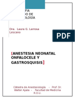 Anestesia Neonatal en Onfalocele y Gastrosquisis Origina