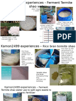 Termite Mushroom Cultivation Experiences