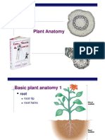 Plant Anatomy: AP Biology
