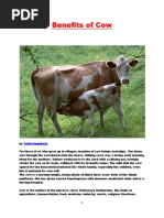 Benefits of Cow