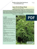 Cananga Ylang Ylang PDF