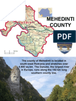 Mehedinti County