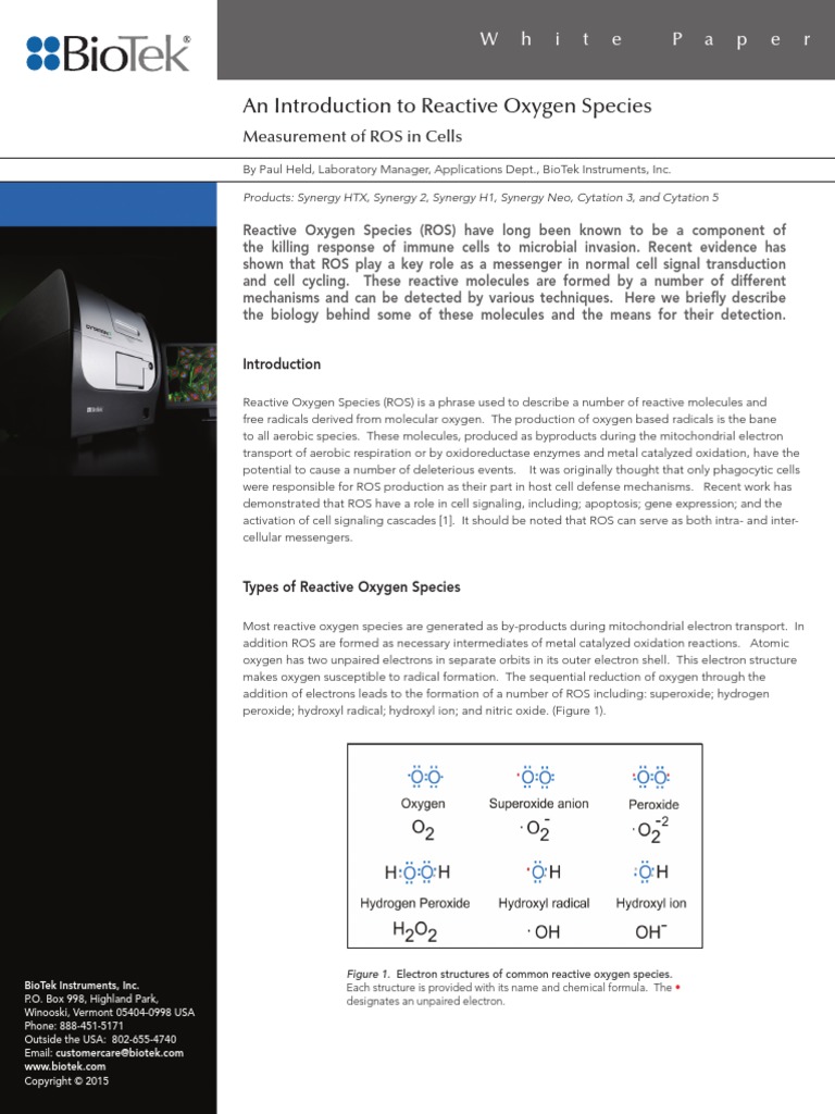 ROS White Paper - 2015 | PDF | Reactive Oxygen Species | Glutathione