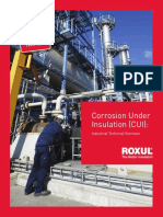 Corrosion Under Insulation