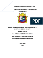 documents.tips_borrador-de-tesis-concreto.docx