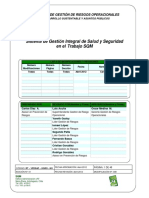 Sistema de Gestión Salud y Seguridad