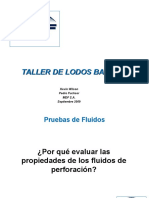 Taller de Lodos Basico