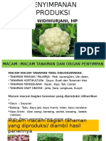 Produksi Dan Penyimpanan Produksi