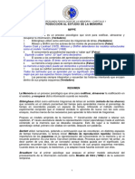 Mini-Resumen Memoria PDF