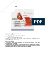 Perikardiosintesis Asli