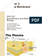 Plasma Membrane